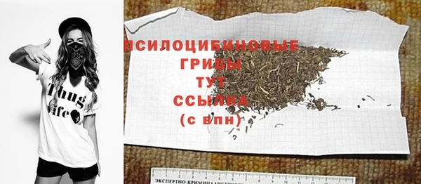 МДПВ Няндома
